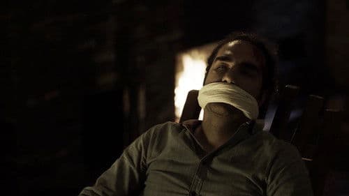 شب هامون Bild 2