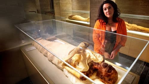 Ultimate Treasure Countdown Bild 4