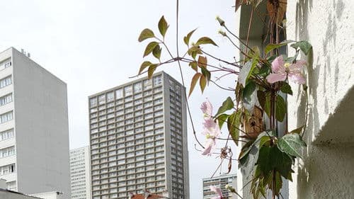 Meine wilden Nachbarn Bild 5