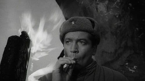 Iwans Kindheit Bild 6