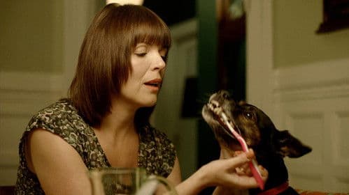 Entschuldigung, dass ich störe Bild 3