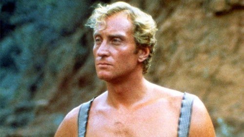 Die vergessene Insel Bild 5