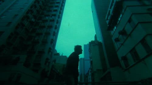 Dog Bite Dog - Wie räudige Hunde Bild 3