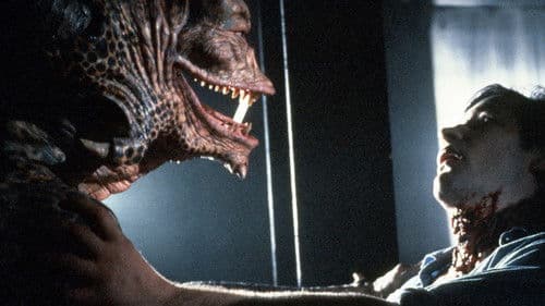 Geschichten aus der Schattenwelt Bild 5