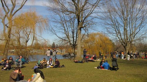 Eclipse - the movie Bild 1