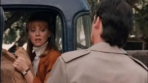 A Message from Holly Bild 1