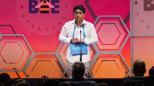 Der amerikanische Traum vom Buchstabieren Bild 2