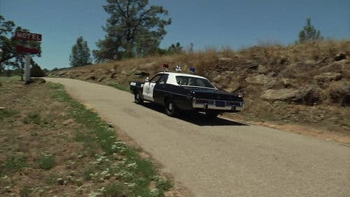 Bigfoot's Wild Weekend Bild 2