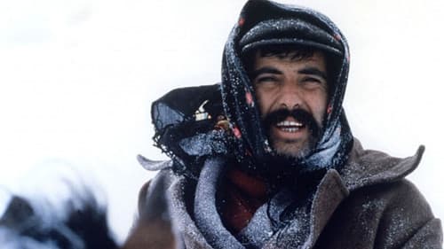 Sürü – Die Herde Bild 5