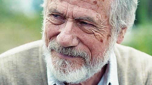 Leanders letzte Reise Bild 2