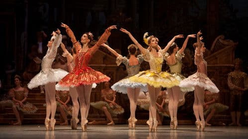 La Belle au bois dormant Bild 1