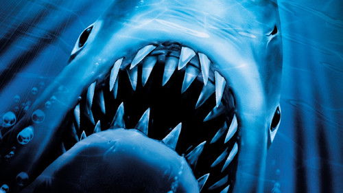 Der weiße Hai 2 Bild 7