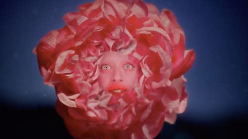 Once in a Full Moon Bild 4