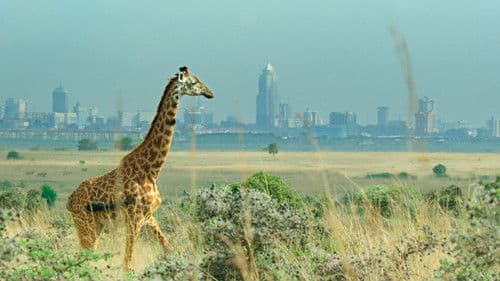 Breaking Boundaries: Die Wissenschaft hinter „Unser Planet“ Bild 3