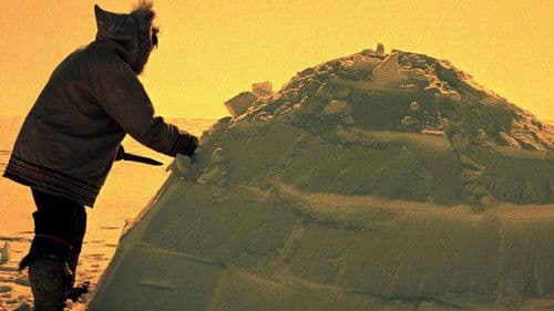 How to Build an Igloo Bild 2