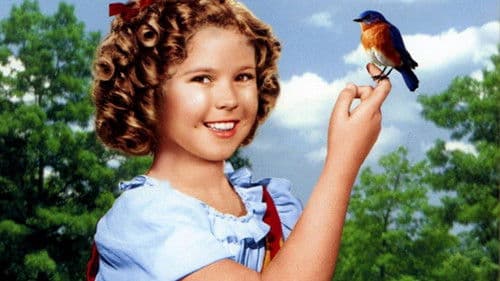 The Blue Bird Bild 5