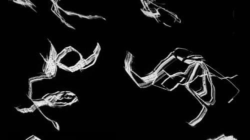 Free Radicals Bild 1