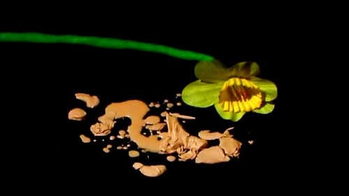 The Auton Diaries 2 Bild 1