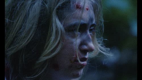 Passenger Jet Bild 5