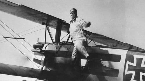 Men with Wings Bild 5