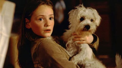 Mein Bruder ist ein Hund Bild 1