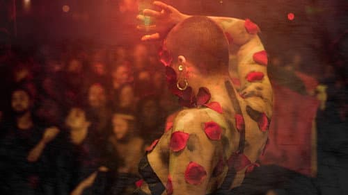 Soulèvements Bild 2