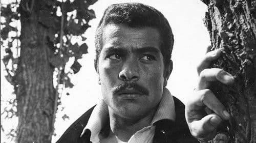 عروس دریا Bild 1