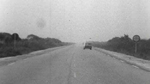 O Anjo Nasceu Bild 2