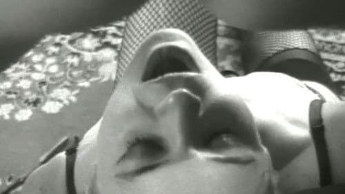 The Elegant Spanking Bild 2