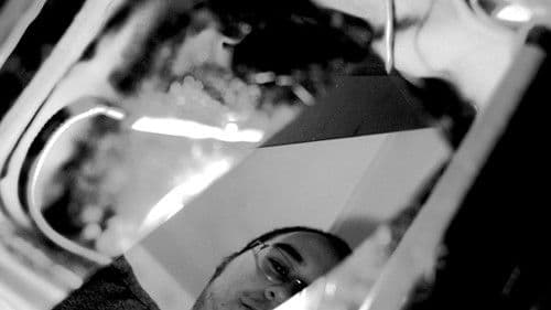 Lichen and Twice the Control of People Bild 2