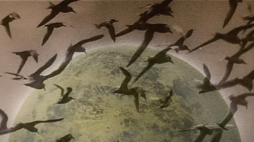 Auf dem Kometen Bild 5