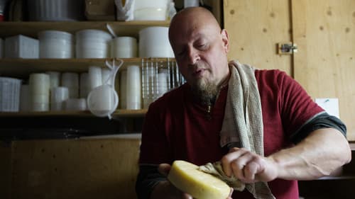 La famille de la forêt Bild 2