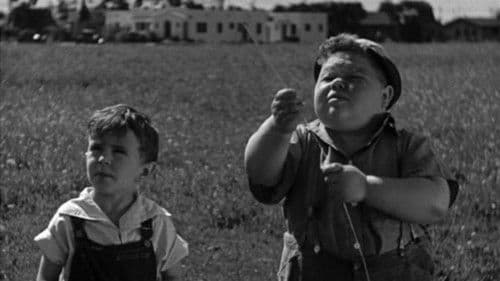 Lasst den Drachen steigen Bild 2