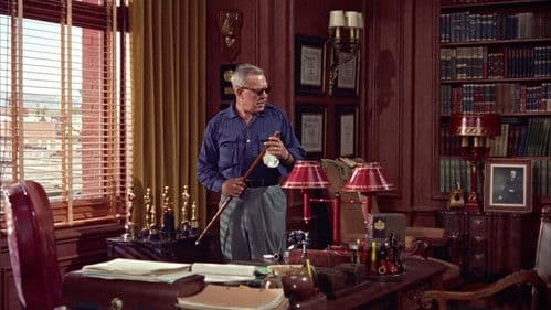 Dem Adler gleich Bild 3