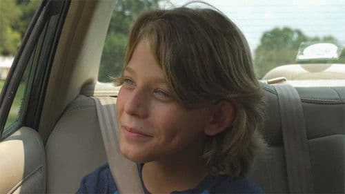 Summer Daydream Bild 1