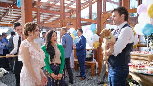 Liebe mit Herz und Hund Bild 5