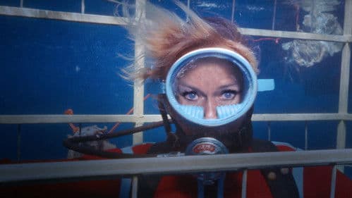 Die Freundin der Haie Bild 5