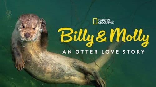 Billy & Molly: Eine Liebe zwischen Mensch und Otter Bild 4