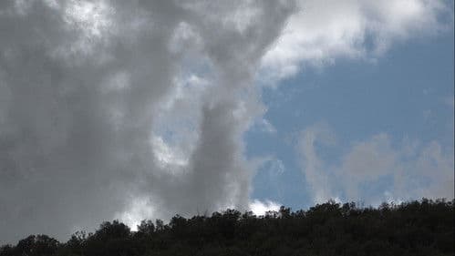 El Secret del Bosc Bild 1