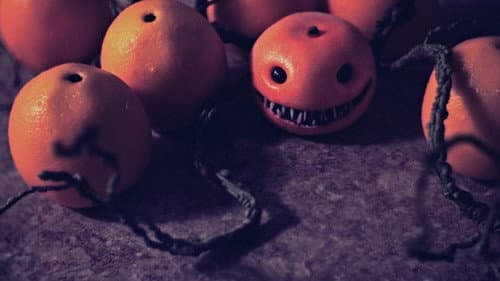 Blood Oranges Bild 1