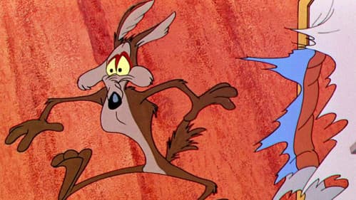 Kein Mittagessen für Kojote Bild 3