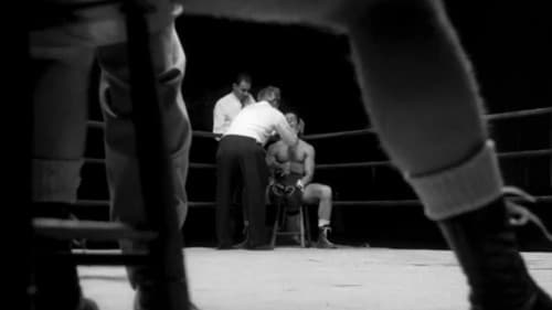 Der Tiger von New York Bild 3