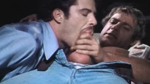 A Night at the Adonis Bild 1