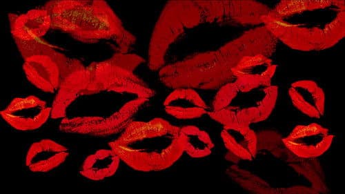 Scream Queens: Horror Heroines Exposed Bild 3