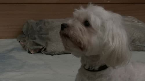 Γυμνά Σώματα Bild 7