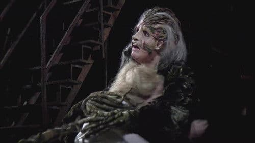 Into the Woods Bild 2