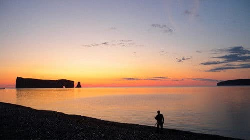 Territoires, alliances et autres métissages Bild 1