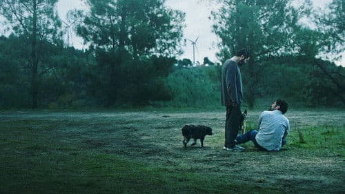 Spuren im Wind Bild 1