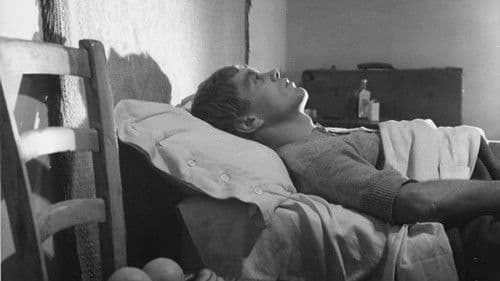 Una vita violenta Bild 2