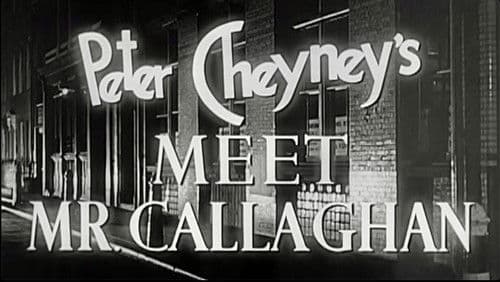 Detektiv Callaghan Bild 1